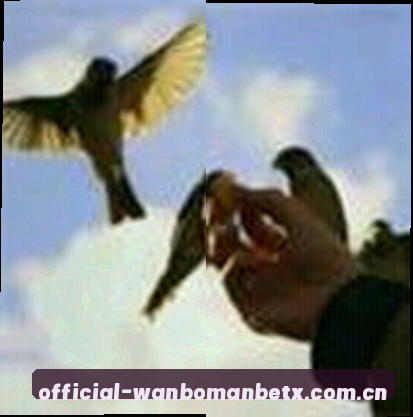 吴总